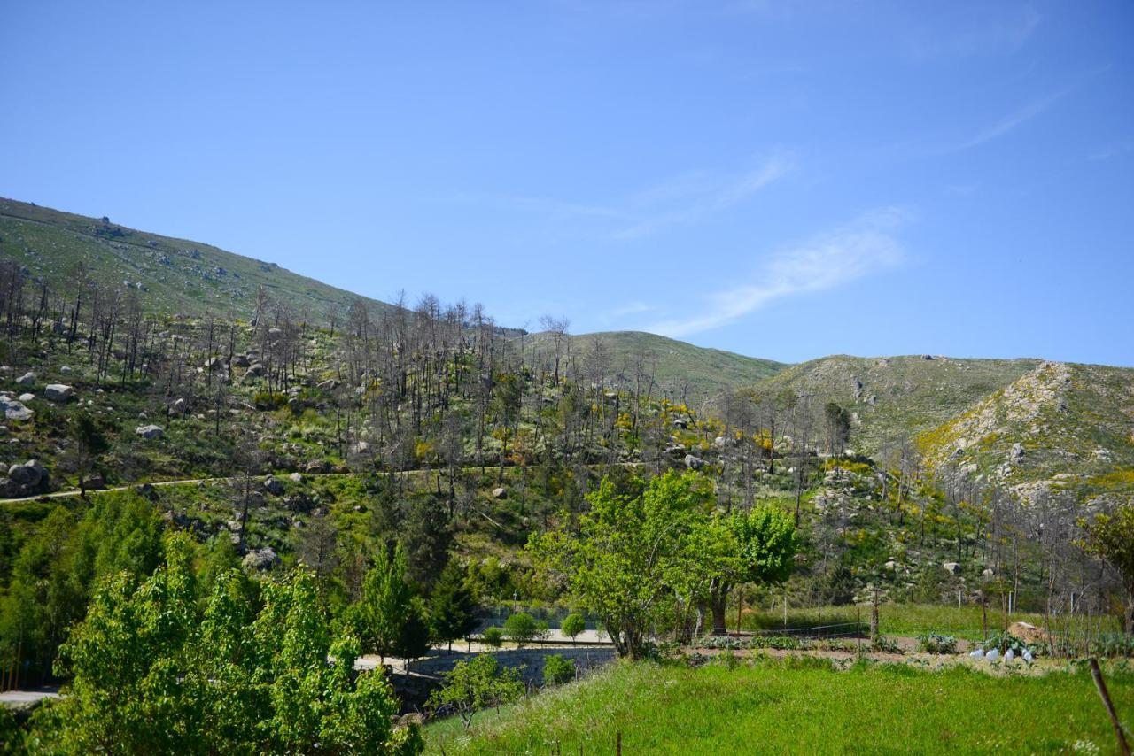 Casa Dos Alcaides Villa Sabugueiro  Eksteriør bilde