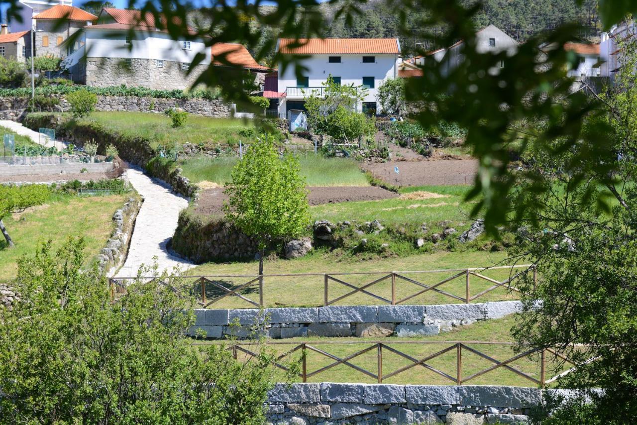 Casa Dos Alcaides Villa Sabugueiro  Eksteriør bilde