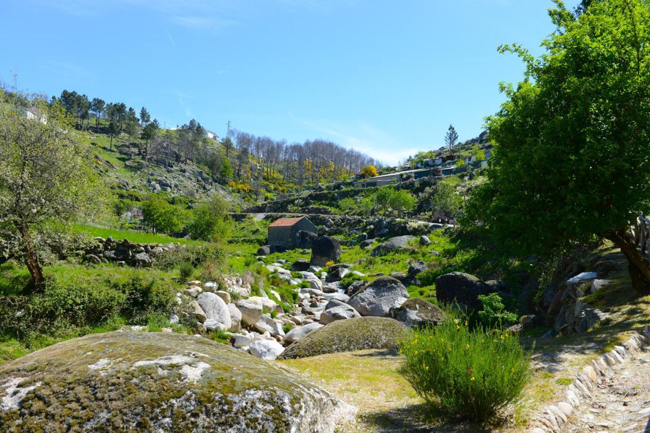 Casa Dos Alcaides Villa Sabugueiro  Eksteriør bilde
